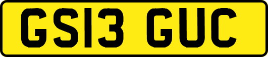 GS13GUC