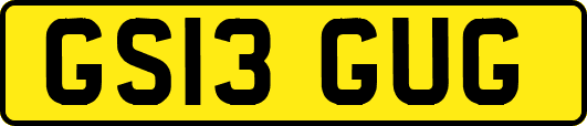 GS13GUG