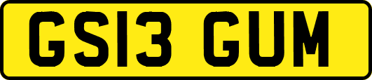 GS13GUM