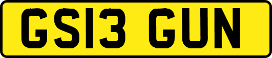 GS13GUN