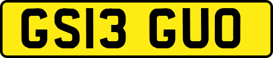 GS13GUO