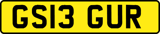 GS13GUR