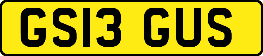 GS13GUS