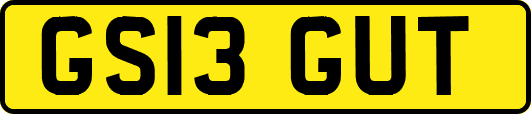 GS13GUT