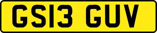 GS13GUV