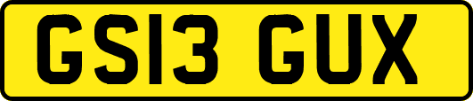 GS13GUX