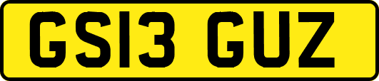 GS13GUZ