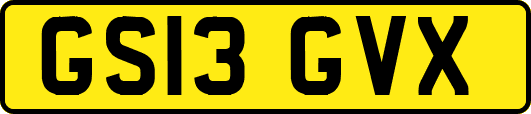 GS13GVX
