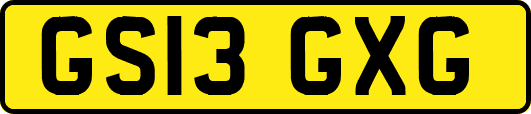 GS13GXG