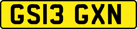 GS13GXN