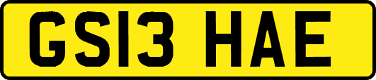 GS13HAE