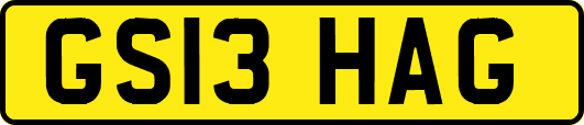 GS13HAG