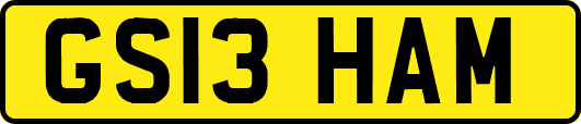 GS13HAM