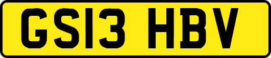 GS13HBV