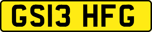 GS13HFG