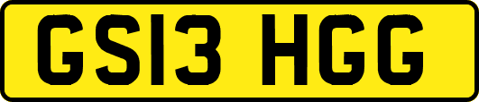 GS13HGG