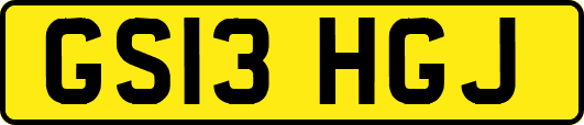 GS13HGJ