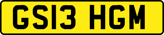 GS13HGM