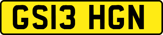 GS13HGN