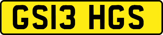 GS13HGS