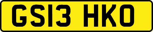GS13HKO