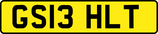 GS13HLT