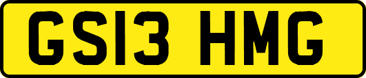 GS13HMG