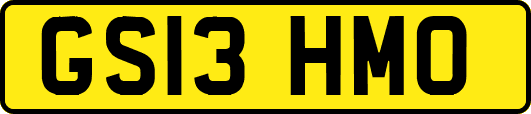 GS13HMO