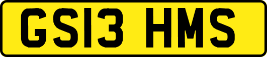 GS13HMS