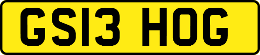 GS13HOG