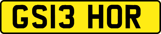 GS13HOR