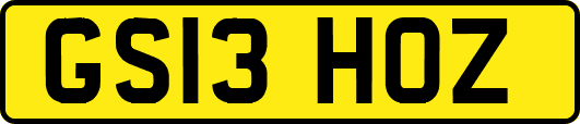 GS13HOZ
