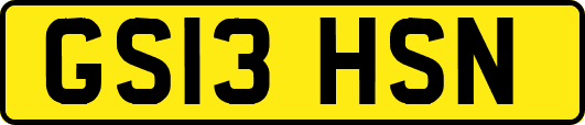 GS13HSN