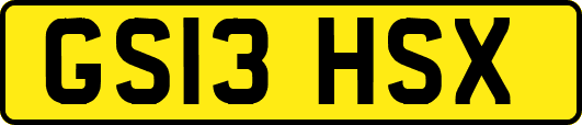 GS13HSX