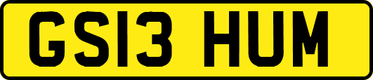 GS13HUM