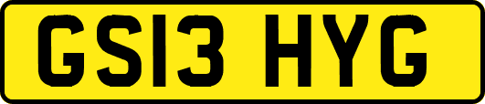 GS13HYG