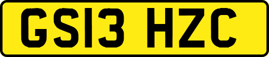 GS13HZC