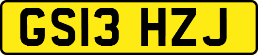 GS13HZJ