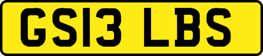 GS13LBS