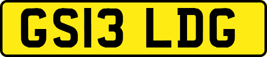 GS13LDG