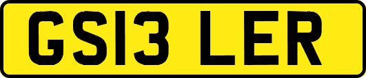GS13LER
