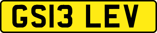 GS13LEV