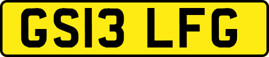 GS13LFG