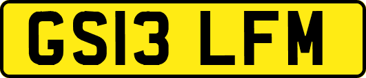 GS13LFM