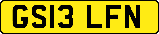 GS13LFN