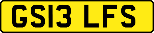 GS13LFS