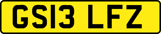 GS13LFZ