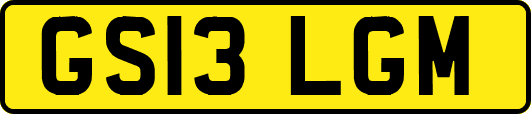 GS13LGM