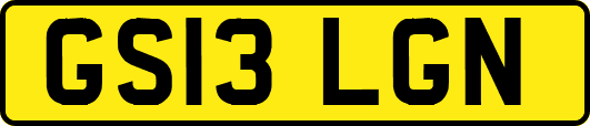 GS13LGN