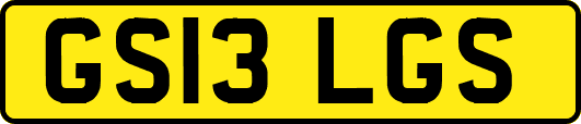 GS13LGS